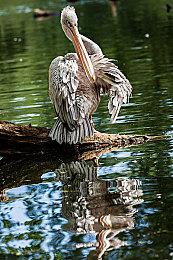 《魔界战记7》Steam页面上线 预计2023年秋季发售